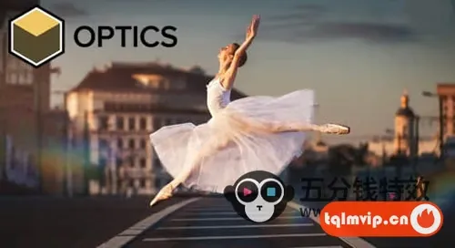 [PS插件]软件/LR/数字光学胶片调色光晕摄影视觉效果 Optics 2025.0.1 CE Win