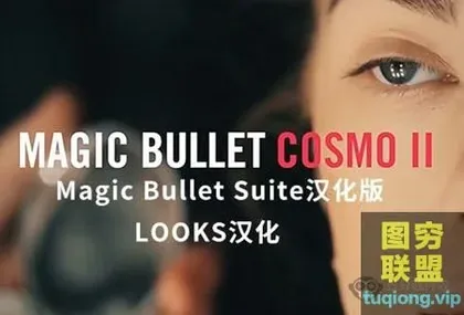 [AE/PR插件]汉化MAC苹果系统红巨人降噪磨皮美颜调色插件套装 Magic B