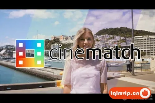 [其它插件]摄像机色彩空间匹配调色插件 CineMatch v1.27 Win