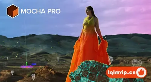 Mocha摄像机反求跟踪软件AE/PR/OFX/达芬奇/AVX插件Mocha Pro 2025.5 v12.5.3 Win
