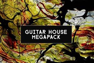音效网-Catalyst Samples Guitar House Megapack WAV MiDi