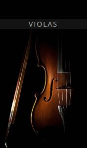 欧洲联合弦乐团-中提琴 Auddict United Strings of Europe: Violas KONTAKT