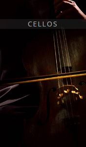 欧洲联合弦乐团-大提琴 Auddict United Strings of Europe: Cellos KONTAKT