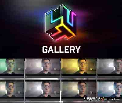 FCPX插件-LUTS调色预设预览管理插件 LUT Gallery V1.1