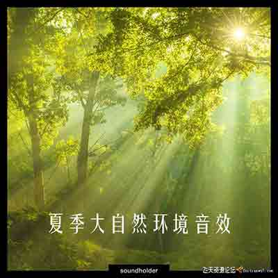 夏季大自然环境音效素材,比如草地,沼泽,池塘,湖泊-视频/音效素材