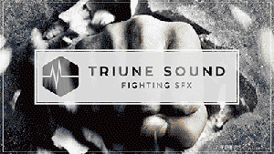 Triune Sound出品真实打斗格斗搏击音效 Fighting SFX-视频/音效素材