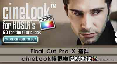 FCPX插件 cineLook 模拟电影胶片调色效果插件－中文版