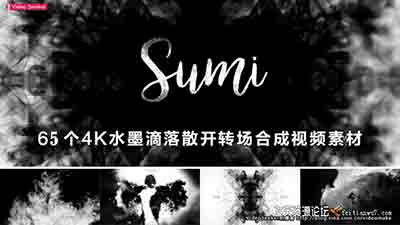 65组水墨滴落烟雾散开转场合成4K高清视频素材-视频/音效素材