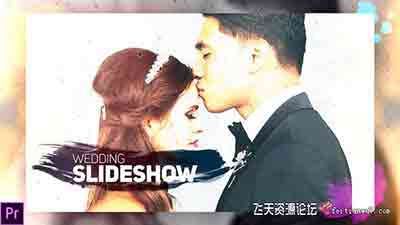 PR模板-水墨笔刷遮罩婚礼照片相册片头 Wedding Slideshow