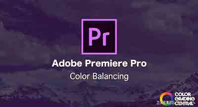 丹佛·里德尔(Denver Riddle)Adobe Premiere的颜色分级学院教程-中文字幕