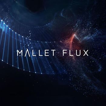 NI MALLET FLUX v1.0.0 KONTAKT