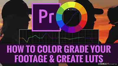 Premiere Pro中LUTS色彩校正技术训练视频教程