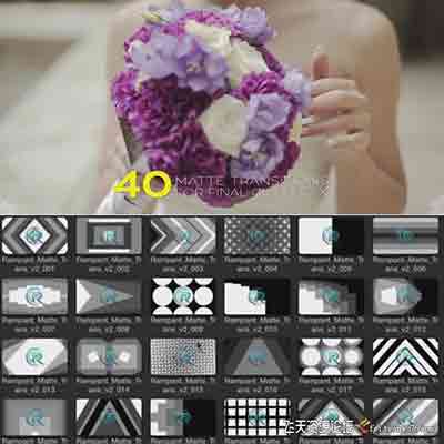FCPX插件：40组图形遮罩视频转场预设V2