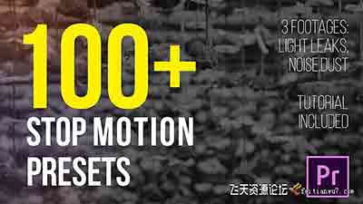 Premiere 预设：100种抽帧定格动画Pr预设 Stop Motion Presets