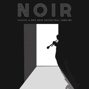Sonokinetic Noir v1.2.0 KONTAKT