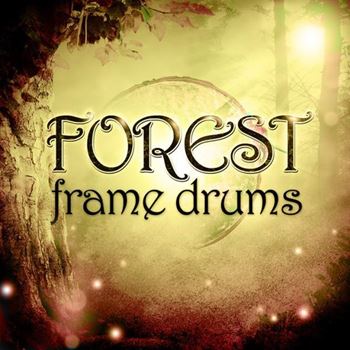 森林手鼓打击乐 Impact Soundworks Forest Frame Drums KONTAKT | 557 MB