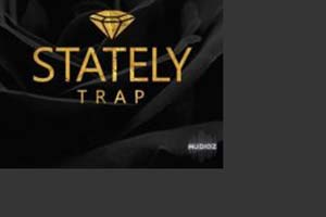 音效网-Kryptic Samples – Stately Trap WAV MIDi