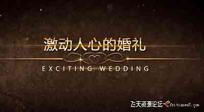 幸福婚礼 唯美的婚纱照电子相册ae模板