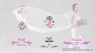 婚庆婚礼文字标题字幕动画FCPX插件预设 Wedding Titles Pack