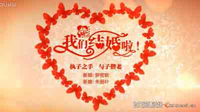甜蜜浪漫的蝴蝶爱心婚礼片头 ae模板工程