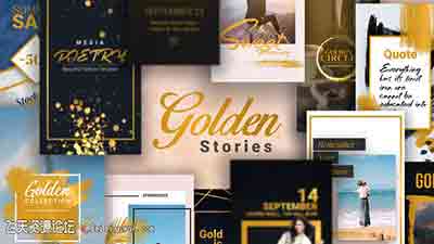 金色时尚奢华INS网络视频包装宣传模板 Golden Stories Animate