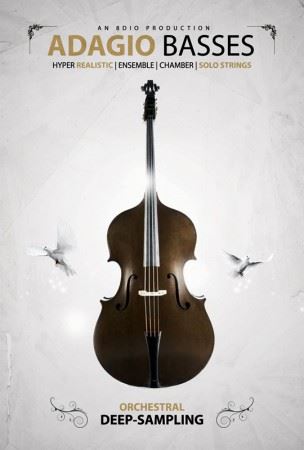 8Dio Adagio Basses KONTAKT 低音提琴