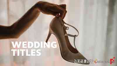 PR预设-50组MOGRT婚礼视频字幕Wedding徽章文字标题动画效果