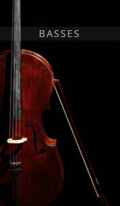 欧洲联合弦乐团-低音提琴 Auddict United Strings of Europe: Basses KONTAKT