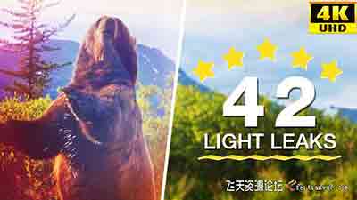42组4K分辨率光效视频素材下载镜头光晕泄漏光效散景叠加-视频/音效素材