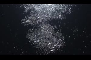 水下气泡飞溅流体特效动画演绎LOGO标志片头视频AE模板素材源文件_logo展示ae模板