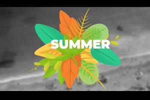 卡通枝叶装点文字标题展示ae模板 Summer Title Elements_文字特效ae模板