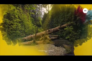 4K分辨率水墨油漆飞溅转场图片幻灯片视频制作AE模板_水墨包装ae模板