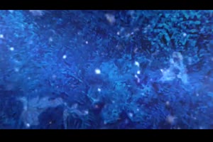 圣诞快乐家庭相册幻灯片ae模板 Merry Christmas Slideshow_展示ae模板