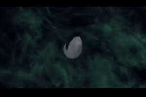 黑豹粒子效果片头ae模板 Panther Particles Intro_展示ae模板