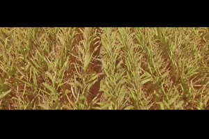 4K视频素材-100个镜头泄漏炫光闪烁叠加合成动画素Lens Leak Pack Pro