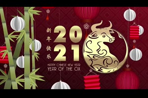 视频素材-新年快乐牛年春节灯笼喜庆背景循环动