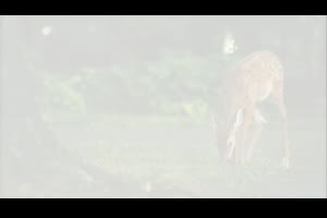 照片幻灯片滚动滑动回忆现代简约视频相册效果制作AE模板_展示ae模板