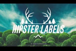 标签标题展示ae模板 Hipster Labels_文字特效ae模板