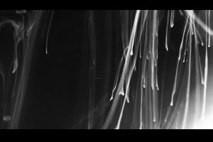 数字噪点位移故障效果动画视频片头pr模板素材_pr模板网
