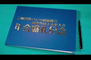 三狮集团新春大节年会盛典纪念优秀员工表彰册AE模板_VIP专属ae模板