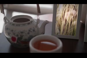 早晨阳光精美幻灯片温暖亲回忆周年纪念婚礼全家福相册视频ae模板_相册ae模板