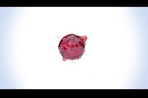 多彩新鲜混合液体飞溅水特效logo标志视频片头pr模板素材_pr模板网