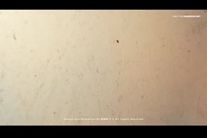 历史记录时间线发展幻灯片复古棕褐色年份色调视频相册ae模板素材_相册ae模板
