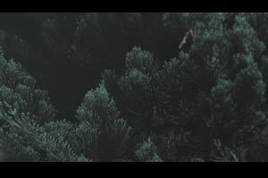 fcpx插件-25个现代时尚流行文字标题字幕条动Twenty5 Titles Part F