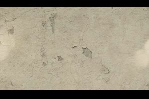 复古报纸背景历史人物介绍时间线展示怀旧家庭视频相册AE模板素材_展示ae模板