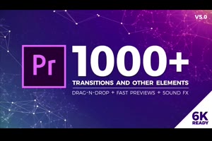premiere模板-1000多个冲击缩放干扰破损摄像机平移扭曲炫光无缝视频pr转场+音Seamless Transitions v5.0.2