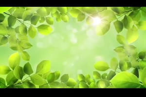 春色绿意盎然开场片头pr模板 The Spring Special_pr模板网