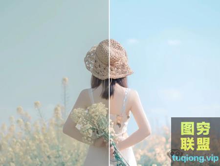 [LR预设]95个人像LR预设含日系小清婚礼复古电影色调 仅适用LR软件@28892