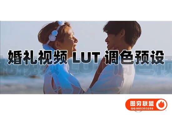 [LUT预设]450个专业高级浪漫爱情婚礼视频LUT调色预设 Premium Wedding @38309