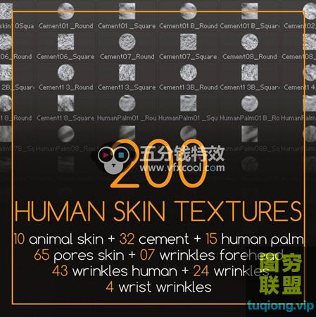 [Substance材质]200组高品质人类皮肤Zbursh纹理合集+中文字幕教程@19513